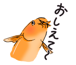 Golden Dojo Loach Sticker sticker #2782874