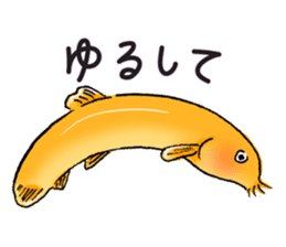 Golden Dojo Loach Sticker sticker #2782877