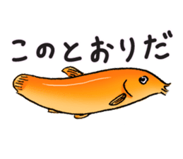Golden Dojo Loach Sticker sticker #2782878