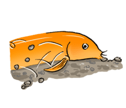 Golden Dojo Loach Sticker sticker #2782881