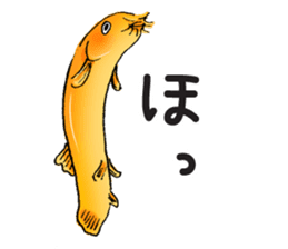 Golden Dojo Loach Sticker sticker #2782882