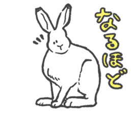 Arctic hare mainly sticker #2783687
