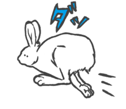 Arctic hare mainly sticker #2783688