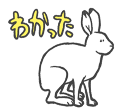 Arctic hare mainly sticker #2783696