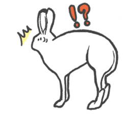 Arctic hare mainly sticker #2783697