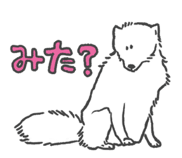 Arctic hare mainly sticker #2783708