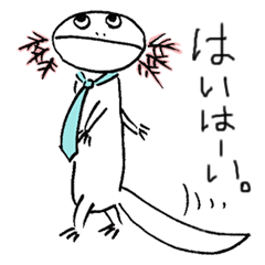 Mr. Uota of a salamander