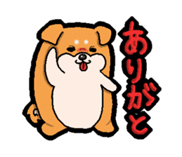 Tochigi accent sticker sticker #2786092