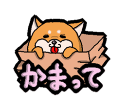 Tochigi accent sticker sticker #2786108