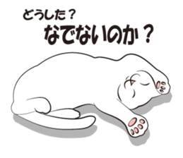 Everything cat sticker #2789093