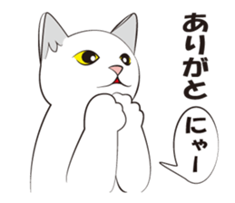 Everything cat sticker #2789102