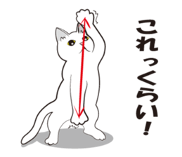 Everything cat sticker #2789108