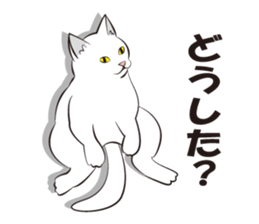Everything cat sticker #2789112
