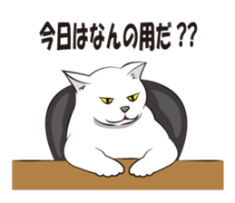 Everything cat sticker #2789115