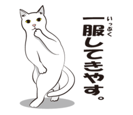 Everything cat sticker #2789120