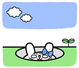 Cute and funny faces rabbit sticker 3 sticker #2789148