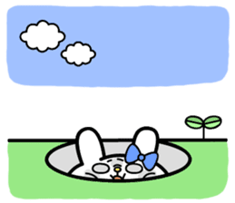 Cute and funny faces rabbit sticker 3 sticker #2789148