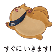 Mochishiba sticker #2792199