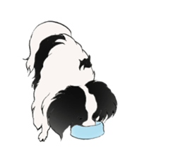 Papillon stamp sticker #2792232