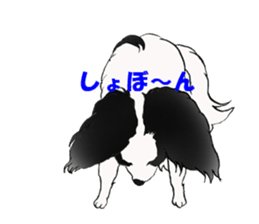 Papillon stamp sticker #2792235
