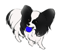Papillon stamp sticker #2792266