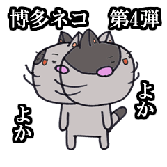 Cat Hakata Fourth edition