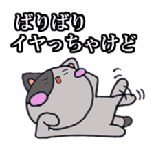 Cat Hakata Fourth edition sticker #2792317