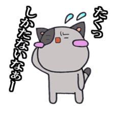 Cat Hakata Fourth edition sticker #2792319