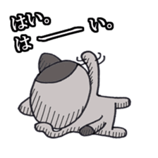 Cat Hakata Fourth edition sticker #2792328