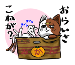 2nd cat living in Sendai of Japan sticker #2794392