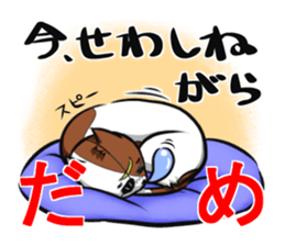 2nd cat living in Sendai of Japan sticker #2794397