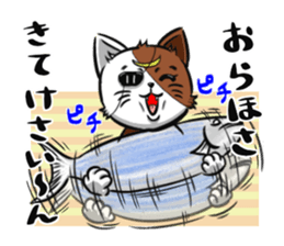 2nd cat living in Sendai of Japan sticker #2794417