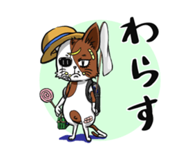 2nd cat living in Sendai of Japan sticker #2794420