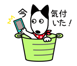 Bucket dog by Miniture bull terrier sticker #2797479