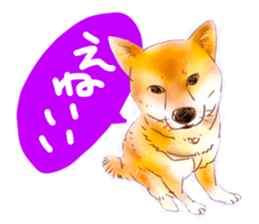 Upside-down sticker #2797998