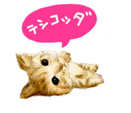 Upside-down sticker #2798004