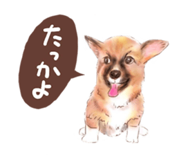 Upside-down sticker #2798005