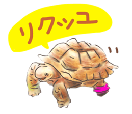 Upside-down sticker #2798026