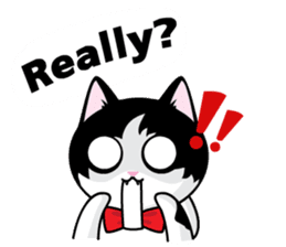 They Call Me Meaow 2 (English) sticker #2799213