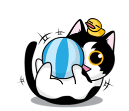 They Call Me Meaow 2 (English) sticker #2799218