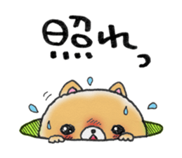 Home security doggie Bocchi sticker #2800996