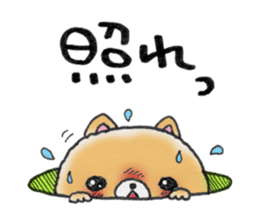 Home security doggie Bocchi sticker #2800996