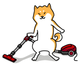 Shiba Inu Genki No.2 (Housework ver.) sticker #2805293
