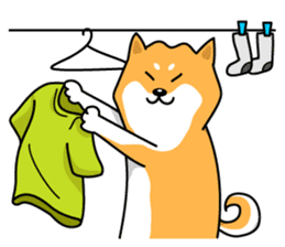 Shiba Inu Genki No.2 (Housework ver.) sticker #2805299