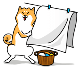 Shiba Inu Genki No.2 (Housework ver.) sticker #2805300