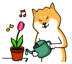 Shiba Inu Genki No.2 (Housework ver.) sticker #2805303