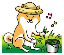 Shiba Inu Genki No.2 (Housework ver.) sticker #2805304