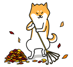 Shiba Inu Genki No.2 (Housework ver.) sticker #2805305
