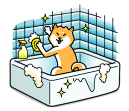Shiba Inu Genki No.2 (Housework ver.) sticker #2805308