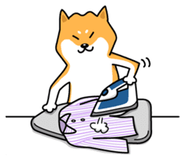 Shiba Inu Genki No.2 (Housework ver.) sticker #2805328